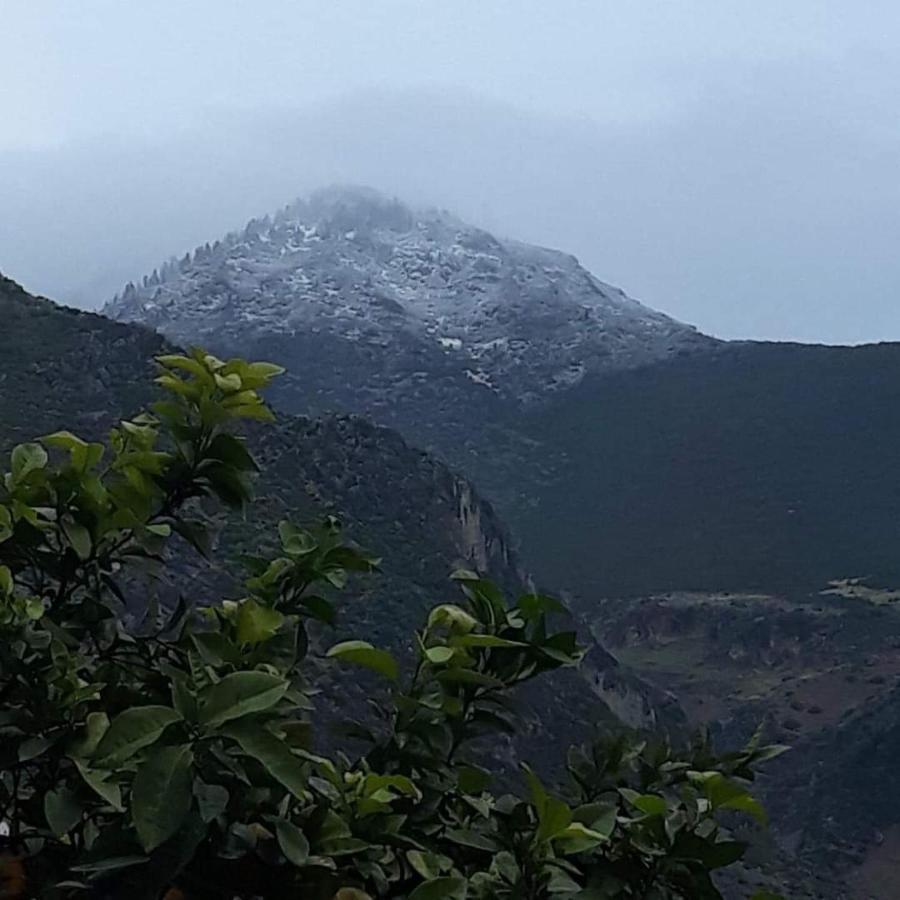 Dar Sidi Mfedal Daire Şafşavan Dış mekan fotoğraf